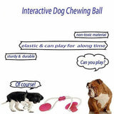 Dog Suction Cup Toy