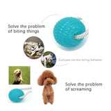 Dog Suction Cup Toy