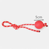 Dog Suction Cup Toy