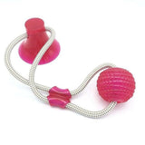 Dog Suction Cup Toy